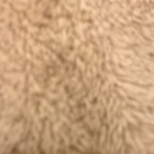 Meet your Posher, Caryn